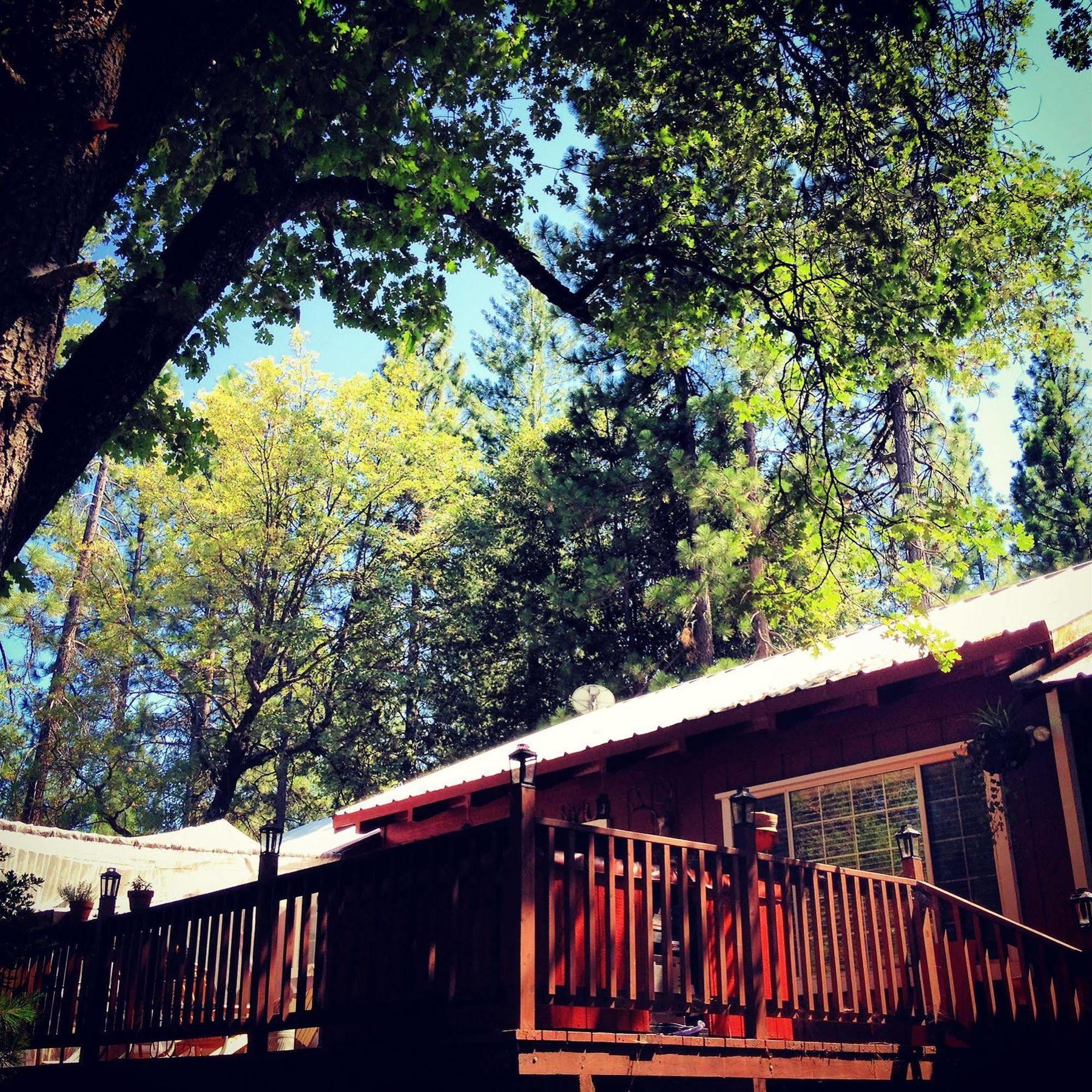The Red Rooster Lodge Coulterville Dış mekan fotoğraf