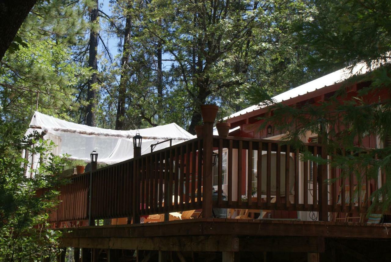The Red Rooster Lodge Coulterville Dış mekan fotoğraf